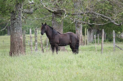 Fotografia de alvaro torres - Galeria Fotografica: patagonia 2010 - Foto: 