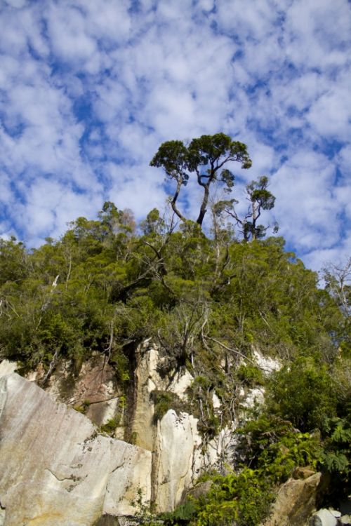 Fotografia de alvaro torres - Galeria Fotografica: patagonia 2010 - Foto: 