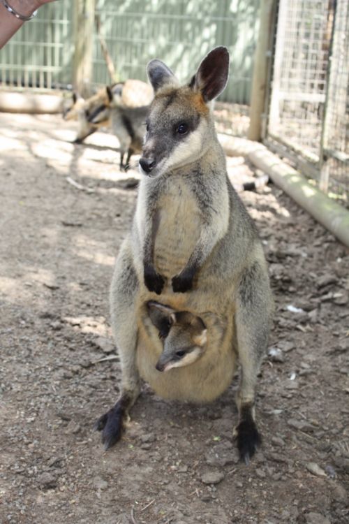 Fotografia de alvaro torres - Galeria Fotografica: patagonia 2010 - Foto: 