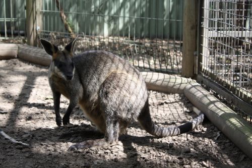 Fotografia de alvaro torres - Galeria Fotografica: patagonia 2010 - Foto: 