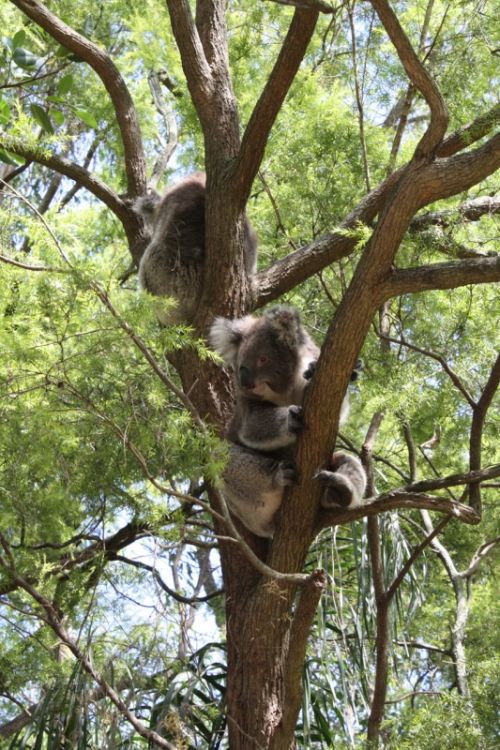 Fotografia de alvaro torres - Galeria Fotografica: patagonia 2010 - Foto: 