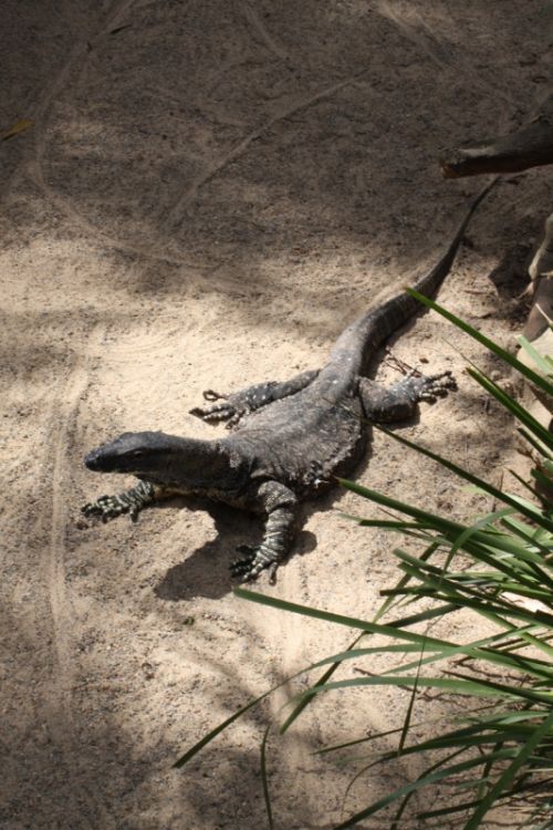 Fotografia de alvaro torres - Galeria Fotografica: patagonia 2010 - Foto: 