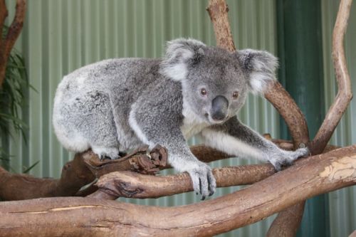 Fotografia de alvaro torres - Galeria Fotografica: patagonia 2010 - Foto: 