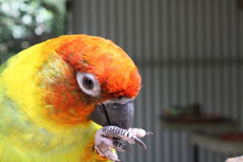 Fotografia de alvaro torres - Galeria Fotografica: patagonia 2010 - Foto: 
