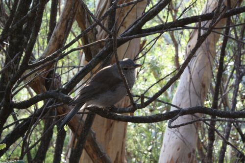 Fotografia de alvaro torres - Galeria Fotografica: patagonia 2010 - Foto: 