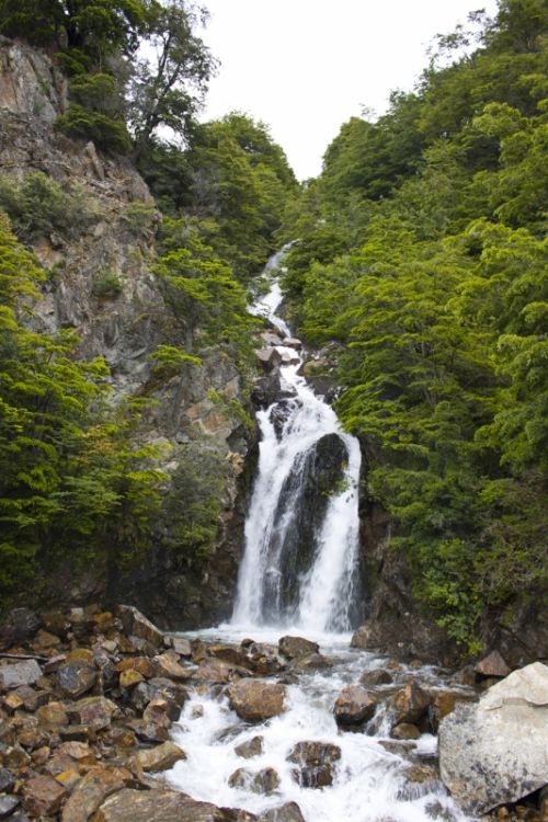 Fotografia de alvaro torres - Galeria Fotografica: patagonia 2010 - Foto: 