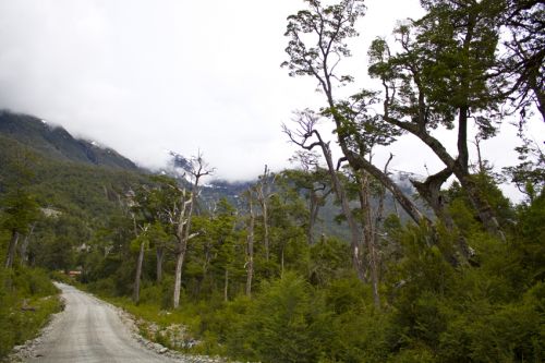 Fotografia de alvaro torres - Galeria Fotografica: patagonia 2010 - Foto: 