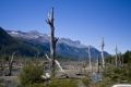 Fotos de alvaro torres -  Foto: patagonia 2010 - 