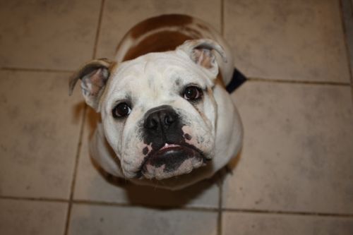 Fotografia de alvaro torres - Galeria Fotografica: patagonia 2010 - Foto: 