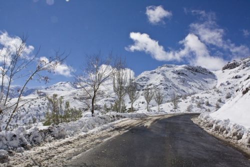 Fotografia de alvaro torres - Galeria Fotografica: patagonia 2010 - Foto: 