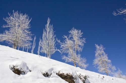 Fotografia de alvaro torres - Galeria Fotografica: patagonia 2010 - Foto: 