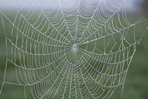 Fotografia de alvaro torres - Galeria Fotografica: patagonia 2010 - Foto: 