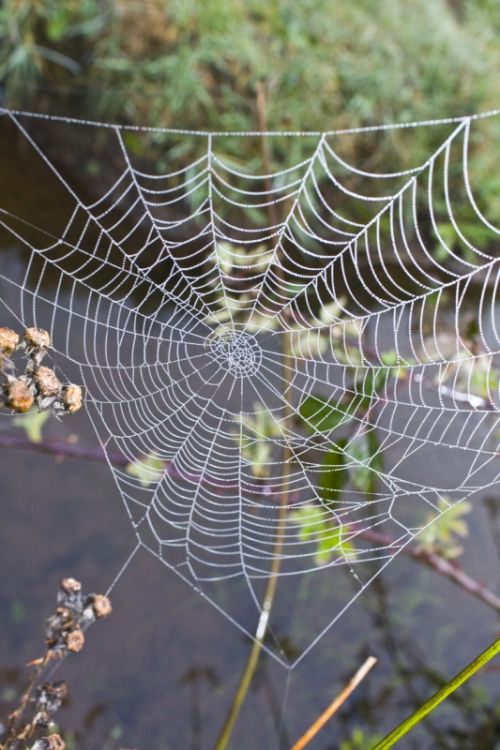 Fotografia de alvaro torres - Galeria Fotografica: patagonia 2010 - Foto: 