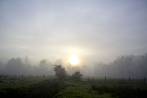Fotografia de alvaro torres - Galeria Fotografica: patagonia 2010 - Foto: 