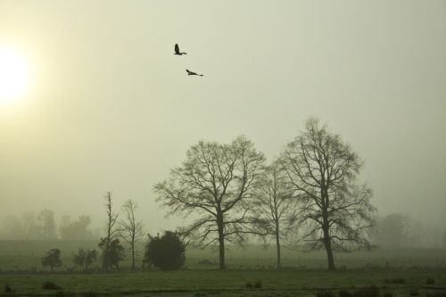 Fotografia de alvaro torres - Galeria Fotografica: patagonia 2010 - Foto: 