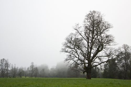 Fotografia de alvaro torres - Galeria Fotografica: patagonia 2010 - Foto: 