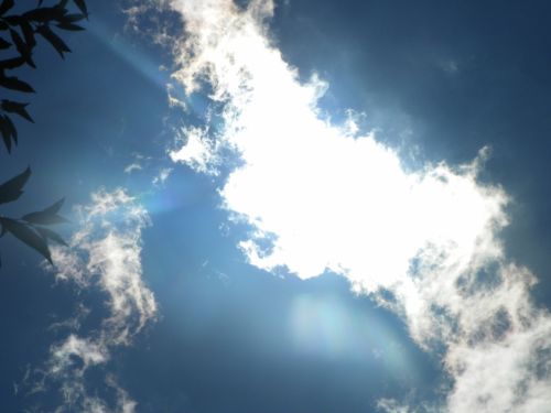 Fotografia de Torres - Galeria Fotografica: Naturaleza - Foto: 