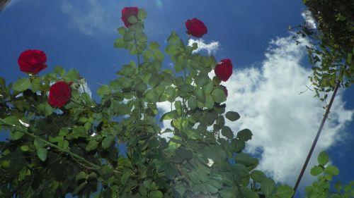 Fotografia de Torres - Galeria Fotografica: Naturaleza - Foto: 