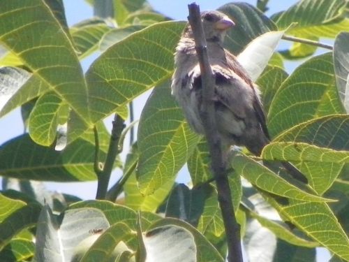 Fotografia de Torres - Galeria Fotografica: Naturaleza - Foto: 