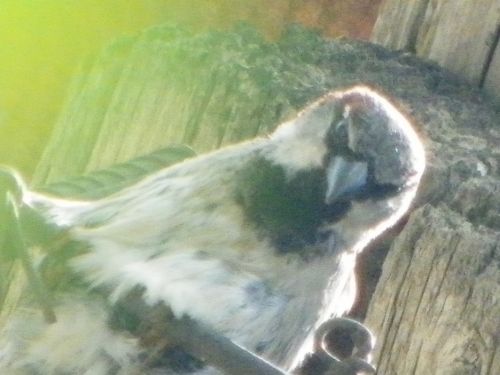 Fotografia de Torres - Galeria Fotografica: Naturaleza - Foto: 