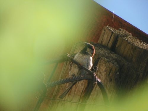 Fotografia de Torres - Galeria Fotografica: Naturaleza - Foto: 