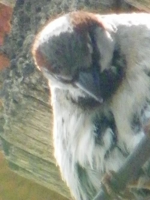 Fotografia de Torres - Galeria Fotografica: Naturaleza - Foto: 