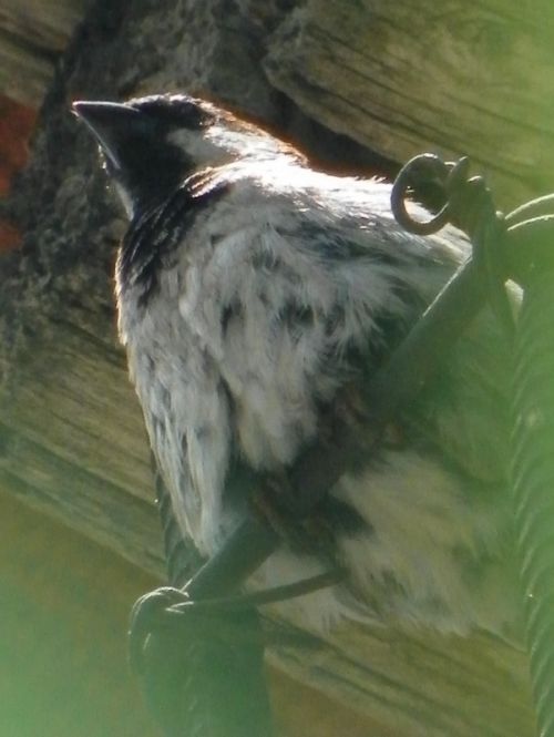 Fotografia de Torres - Galeria Fotografica: Naturaleza - Foto: 