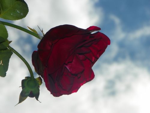 Fotografia de Torres - Galeria Fotografica: Naturaleza - Foto: 