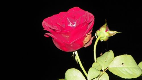 Fotografia de Torres - Galeria Fotografica: Naturaleza - Foto: 