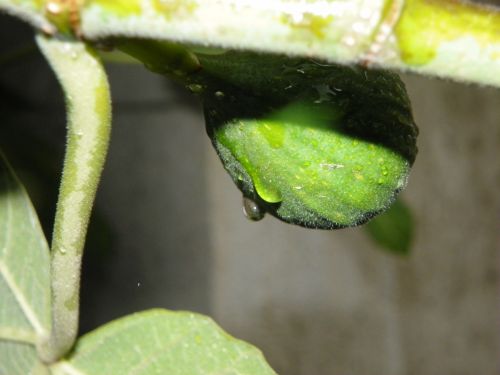 Fotografia de Torres - Galeria Fotografica: Naturaleza - Foto: 