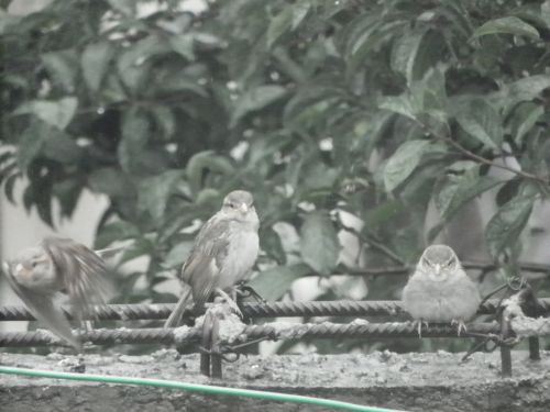 Fotografia de Torres - Galeria Fotografica: Naturaleza - Foto: 