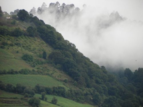 Fotografia de Torres - Galeria Fotografica: Naturaleza - Foto: 