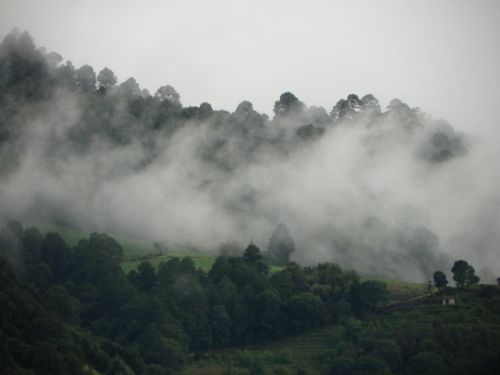Fotografia de Torres - Galeria Fotografica: Naturaleza - Foto: 