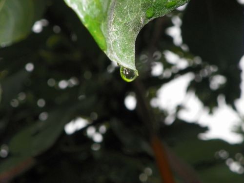 Fotografia de Torres - Galeria Fotografica: Naturaleza - Foto: 