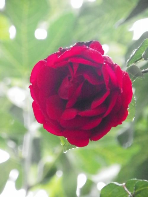 Fotografia de Torres - Galeria Fotografica: Naturaleza - Foto: 