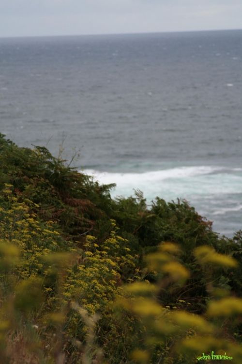 Fotografia de pefrafra - Galeria Fotografica: Nonte San Pedro - A Corua  - Foto: 