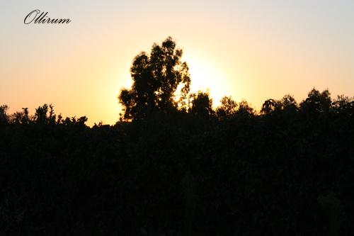 Fotografia de Ollirum - Galeria Fotografica: Paisajes naturales - Foto: 