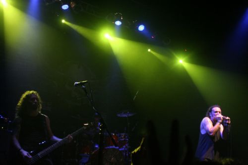 Fotografia de gothpic - Galeria Fotografica: en VIVO con REY TORO - Foto: 