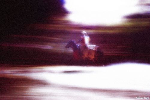 Fotografia de Roberto Vega - Galeria Fotografica: El Bierzo. - Foto: Horse.