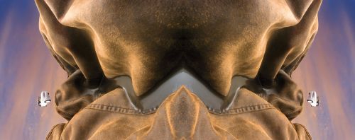 Fotografia de C�sar Alc�zar _ FOT�GRAFO - Galeria Fotografica: PUBLICIDAD - Foto: 