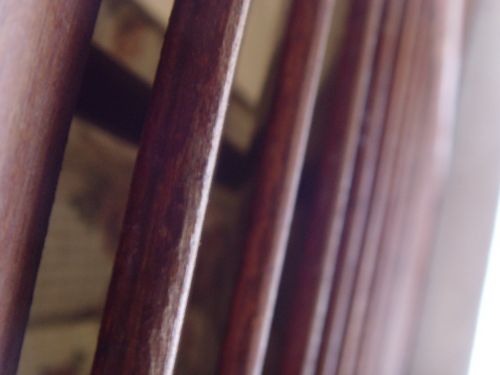 Fotografia de Herv Mellert - Galeria Fotografica: Macro - Foto: 