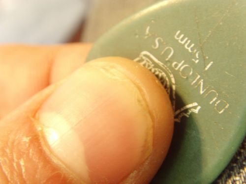 Fotografia de Herv Mellert - Galeria Fotografica: Macro - Foto: 