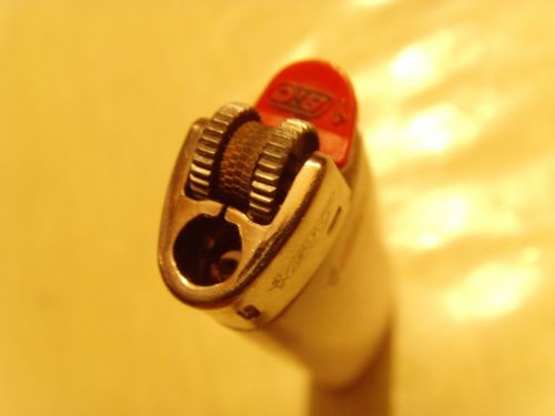 Fotografia de Herv Mellert - Galeria Fotografica: Macro - Foto: 