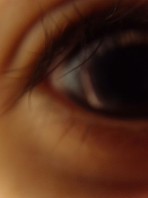 Fotografia de Herv Mellert - Galeria Fotografica: Macro - Foto: 