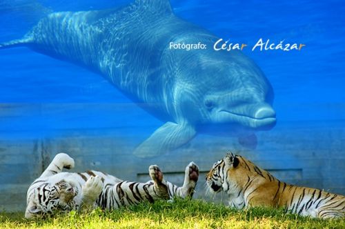 Fotografia de C�sar Alc�zar _ FOT�GRAFO - Galeria Fotografica: PUBLICIDAD - Foto: 