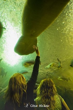 Fotografia de C�sar Alc�zar _ FOT�GRAFO - Galeria Fotografica: PUBLICIDAD - Foto: 