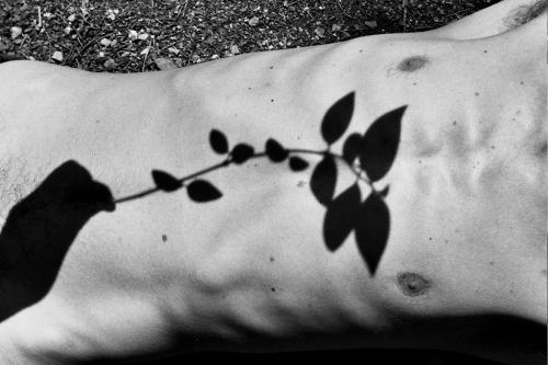 Fotografia de Sin Nombre - Galeria Fotografica: desnudo y naturaleza - Foto: venas