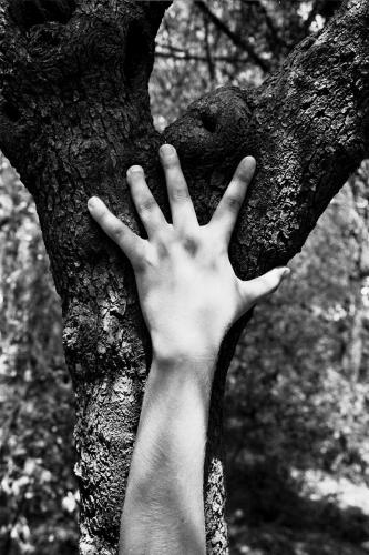 Fotografia de Sin Nombre - Galeria Fotografica: desnudo y naturaleza - Foto: 