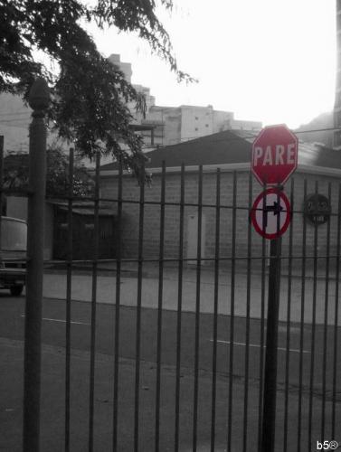 Fotografia de Sin Nombre - Galeria Fotografica: Photografy - Foto: Black and Colors