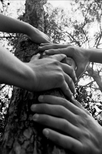 Fotografia de Sin Nombre - Galeria Fotografica: desnudo y naturaleza - Foto: 